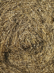 Close-up of straw bales on a sunny day