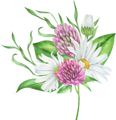 Watercolor wildflowers bouquets, daisy and clover arrangements, wildflower compositions
