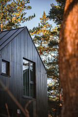 house in autumn in a forest in east Germany 
