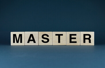 Master. Cubes form the word Master.