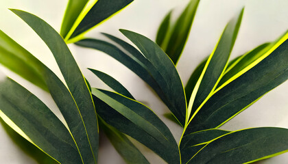 Naklejka na ściany i meble Green tropical leaves. Vegetable green background. Abstract monstera leaves. 3D illustration.