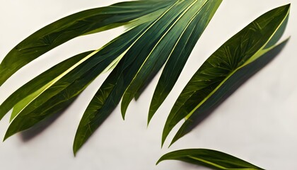 Obraz premium Green tropical leaves. Vegetable green background. Abstract monstera leaves. 3D illustration.