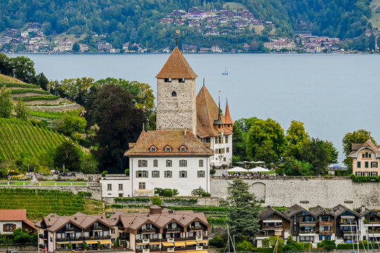 Gunten Images Browse 62 Stock Photos, Vectors, and Video Adobe Stock