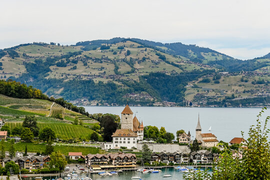 Spiez, Schloss Spiez, Schlosskirche, Stadt, Seeufer, Boote, Hafen, Thunersee, Schifffahrt, Seerundfahrt, Weinberge, Beatenberg, Niederhorn, Aussichtspunkt, Sommer, Schweiz