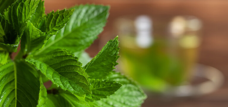 Fresh mint leaves on the wooden background and cup of tea with mint