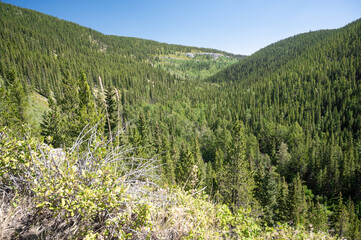 Powderhorn Valley, Kananaskis Country, foothills Alberta