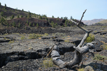 Craters of the Moon National Monument and Preserve © Jerzy