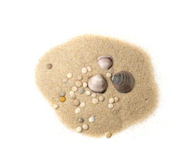 Seashells in Sand Pile Isolated