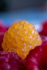 A large yellow raspberry berry lies among the red berries