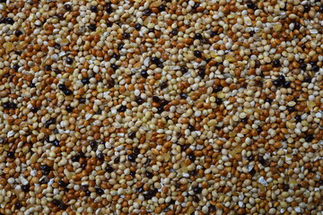 Texture of seed and grain mix for bird feed and livestock .