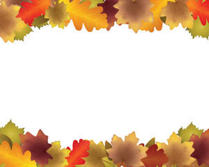 Naklejka na ściany i meble Autumn leaves background, vector illustration