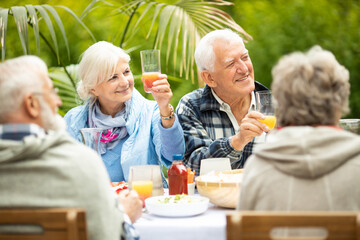 Group of happy senior people during garden party