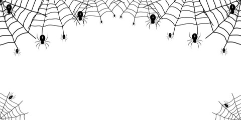 Spider and cobweb background