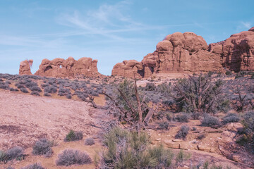 Fototapeta premium Arches National Park Utah