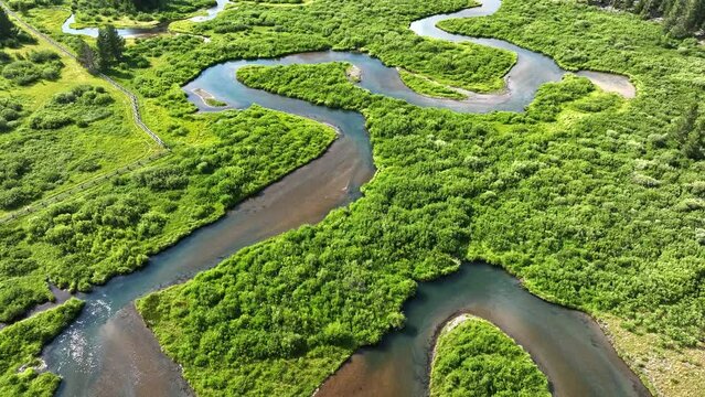 Flying backwards over the South Fork of the Madison River winding through green meadow in Montana.