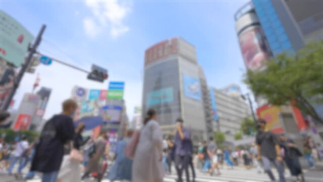 渋谷スクランブル交差点の風景映像（ぼかし有り）