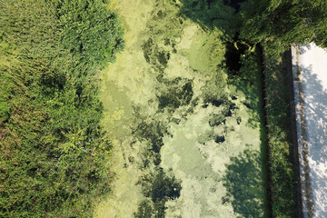 Vue aérienne du canal de Roubaix en été