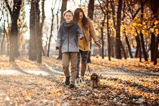 Happy Family Mother And Teen Boy Son Having Fun With Cocker Spaniel Puppy In Autumn Park