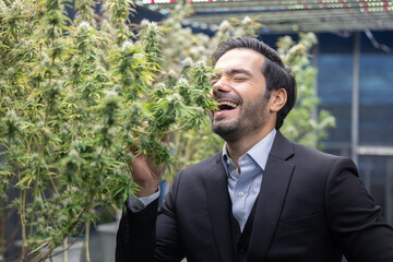 Businessman Laughing with Joy After Smoke in a Marijuana