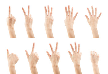 Set female hands gestures making a numbers