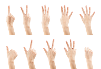 Set female hands gestures making a numbers