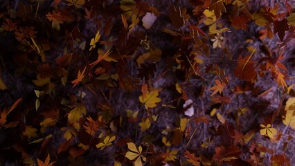 3D rendering. A night scene in the fall season with leaves falling on the ground in a forest.