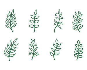 Green line floral elements. Wild leaves on white background.
