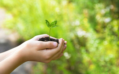 The child holds in his hands a handful of earth in which a sprout or seedling grows against a background of beautiful green and yellow bokeh. Environmental protection. Selective focus.