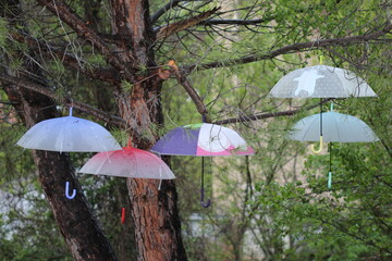 Parapluies suspendus dans les arbres
