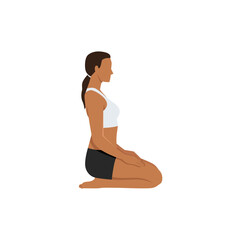 Fototapeta premium Woman doing Thunderbolt Pose, Adamantine Pose, Diamond Pose. Practice Vajrasana. Flat vector illustration isolated on white background