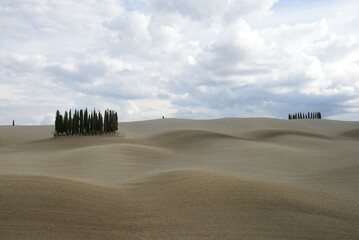 Landscape of Tuscany fields in Italy
