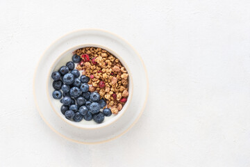 Bowl of homemade yogurt with granola and blueberries on a light background. Top view, copy space