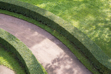 A path in a park with green grass and bushes. View from above. Beautiful landscape and nature.