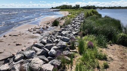 Braddock Bay Wildlife Management Area nature habitat New York State town of Greece on Lake Ontario