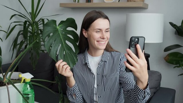 Smiling cute young woman florist blogger talking on mobile phone camera with big green monstera leaf. Home plant breeding, gardening, housewife, working online social media influencer concept