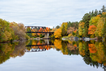 View of a steel railroad bridge spanning a river with forested banks at the peak of autumn colours
