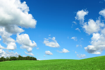 Green grass field and blue sky with clouds, aesthetic nature background. Idyllic grassland, summer or spring landscape, green countryside fields, blue sky cloudy, bright environmental nature