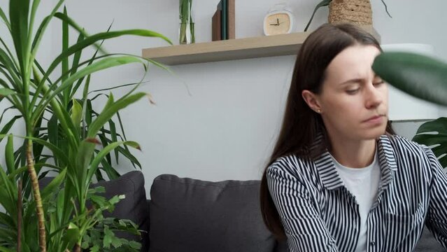 Close up of serious young brunette female looking at sick plant which is suffering because of parasites. Death of indoor plants from dry air at home. Water or wrong temperature, gardening concept