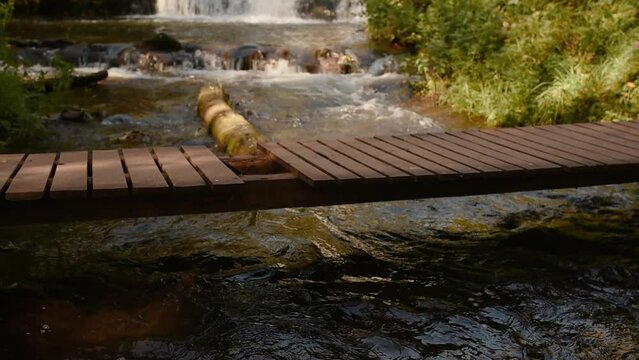 mountain river clear water. Water flows over stones overgrown moss green forest. Wild mountain river running stone rapids in Carpathians waterfall. wooden bridge close up. stream of water Slow motion