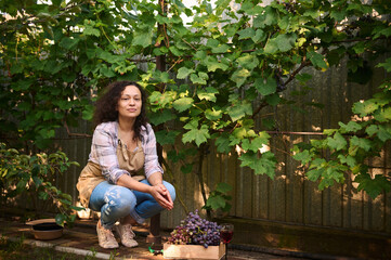 Portrait. Inspired, beautiful woman, viticulturist, vine grower looking at camera while sitting near rows of vineyard and a wooden box with harvested crop of grapes in the backyard of summer cottage