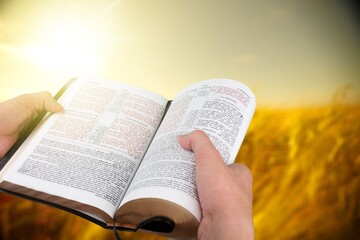 Fototapeta premium Human hand holds a Holy Bible Book on a ripe barley field in the summer harvest season.
