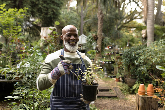 Portrait of happy senior african american man in garden