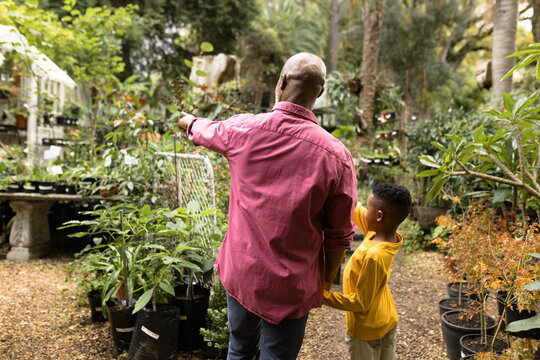 Senior african american man with his grandson pointing finger in garden