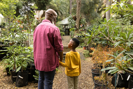 Happy senior african american man with his grandson holding hands in garden
