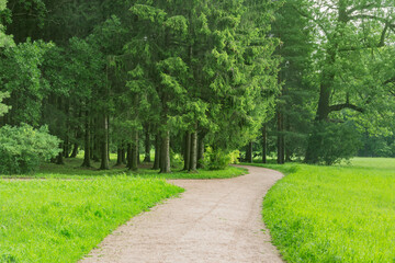 Fototapeta na wymiar Narrow walkway in the summer park.
