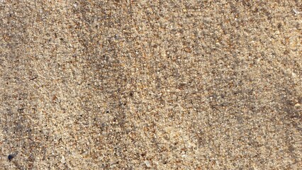 texture of white sand of an exotic beach