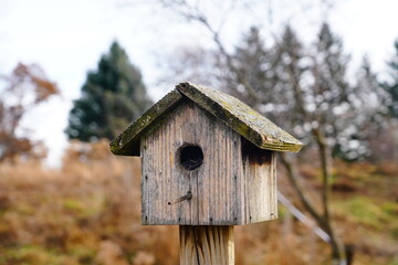 Wooden bird houses sit outside during autumn season