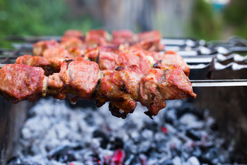 Appetizing juicy shish kebab on skewers fried on grill