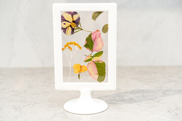 Beautiful pressed flowers framed in a white Herbarium Frame. Pressed and framed leaves and flowers in front of grey wall.