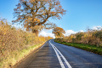 Autumn landscape in the UK.